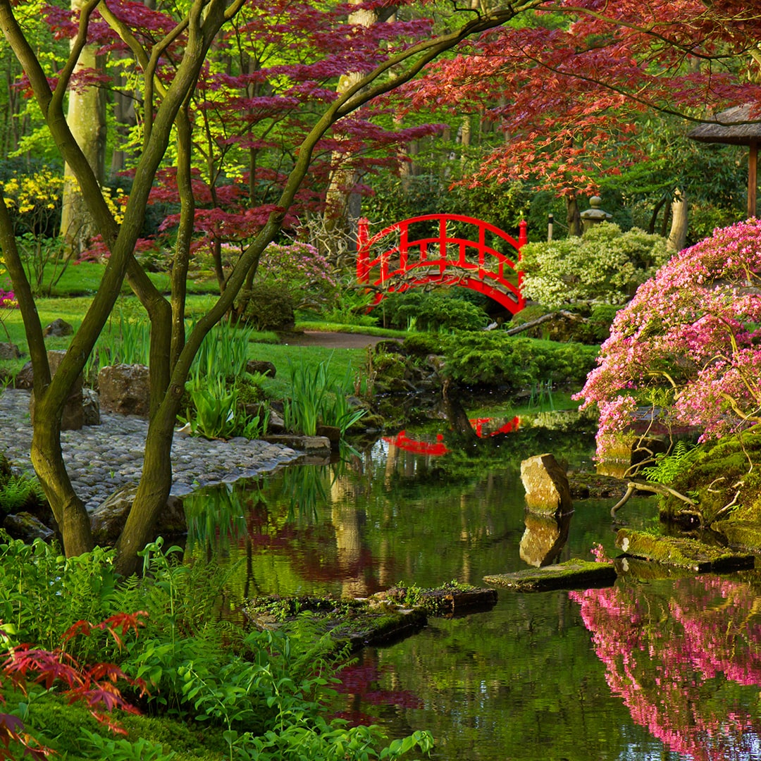 Waterpartij in een japanse tuin<br>