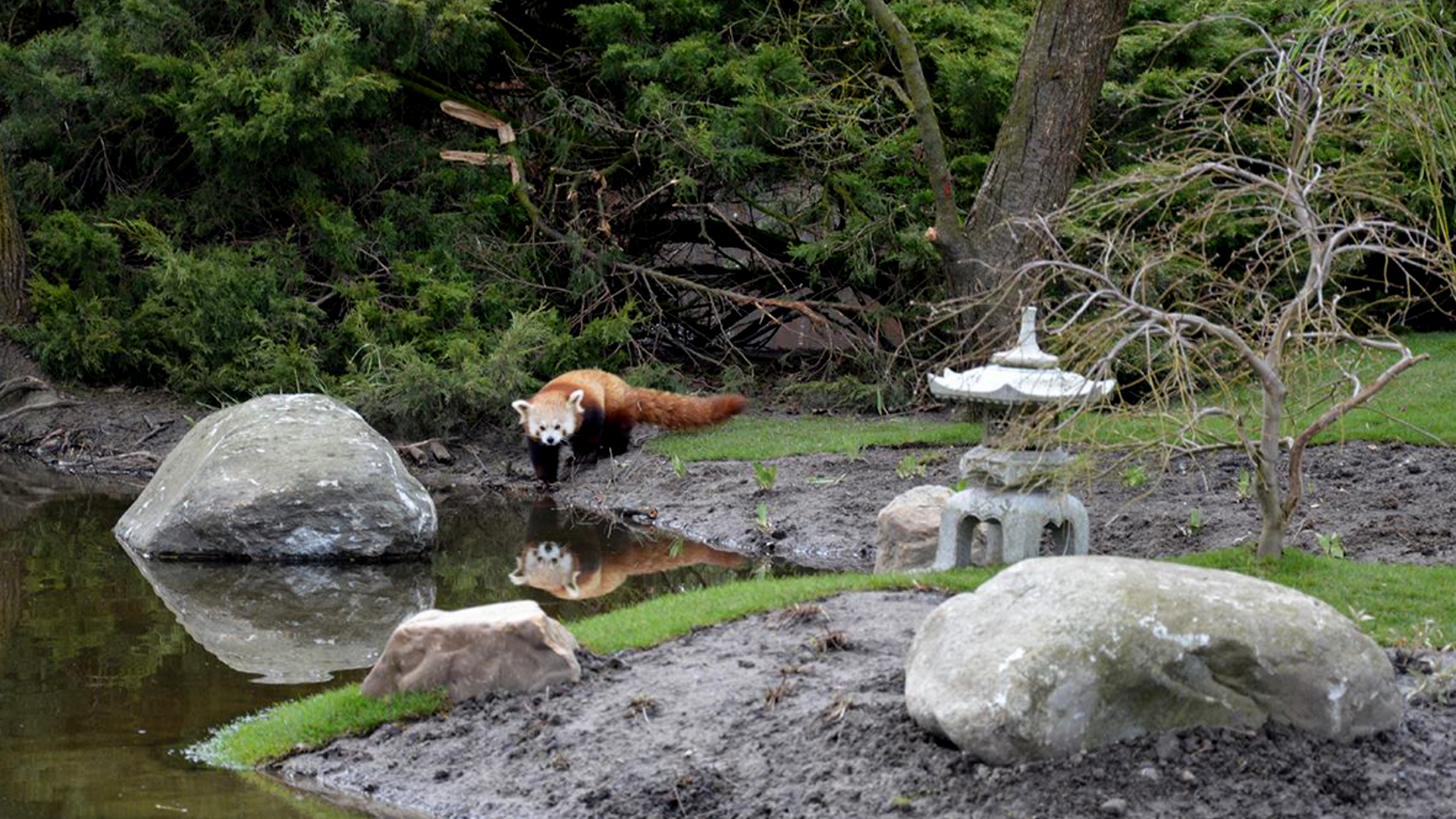 japanse_tuin_alphen_7.jpg