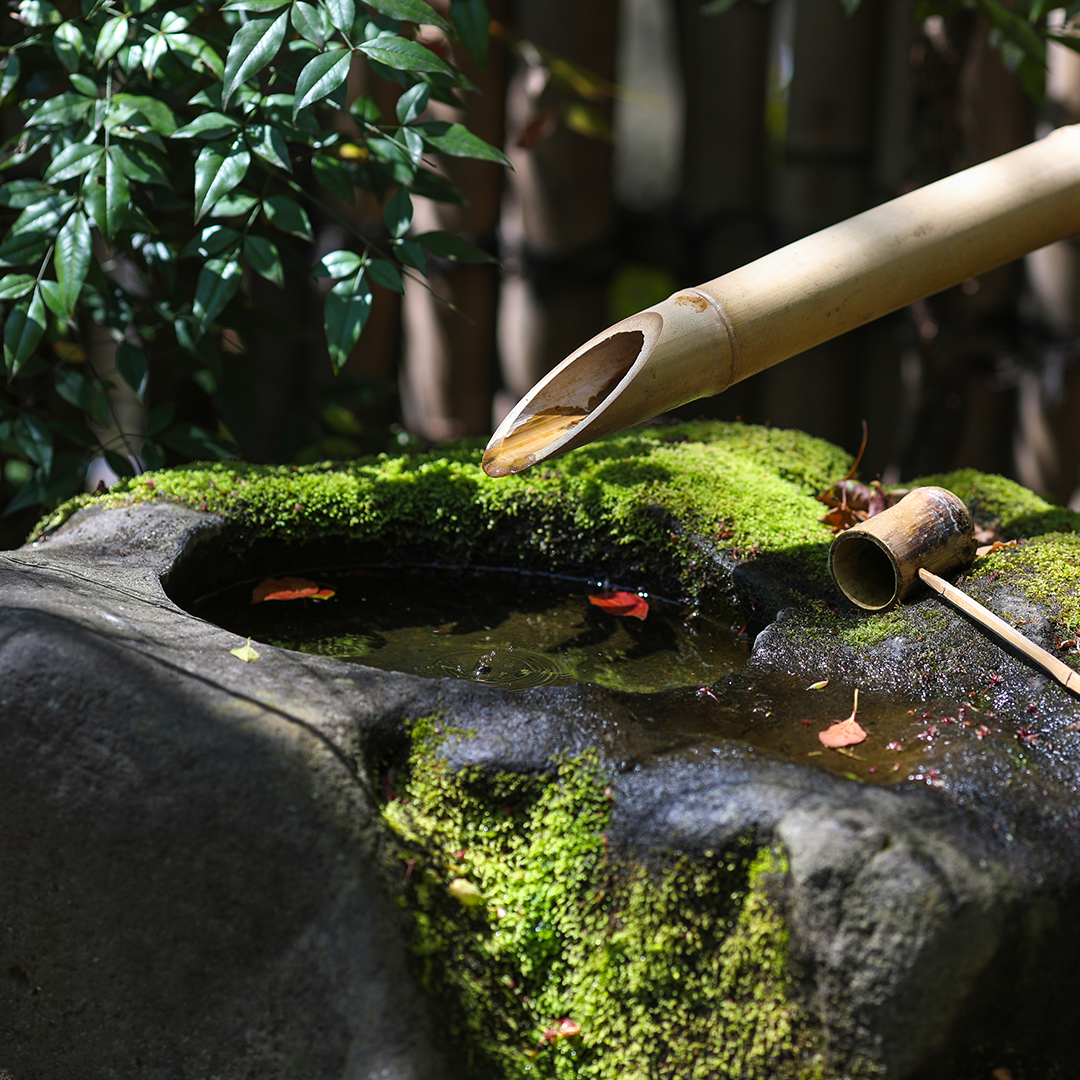 Een waterornament in de japanse tuin<br>